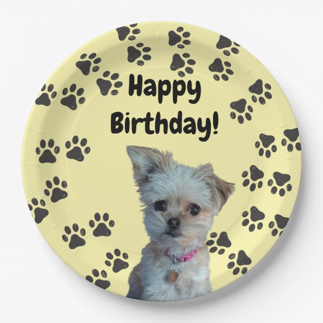 Plato De Papel Placas de papel (Anverso)