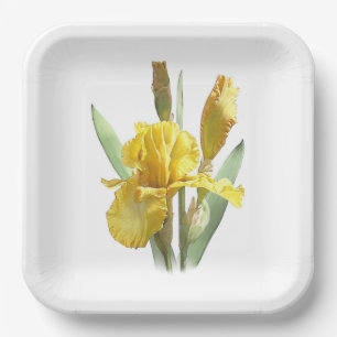 Plato De Papel Placas De Papel De Arte Botánico De Iris Amarillo