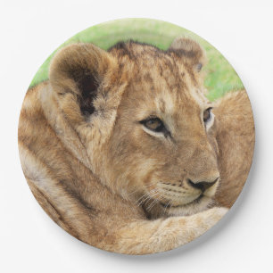 Plato De Papel Placas de papel de Baby Tiger