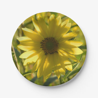 Plato De Papel Placas de papel de brillo de girasol