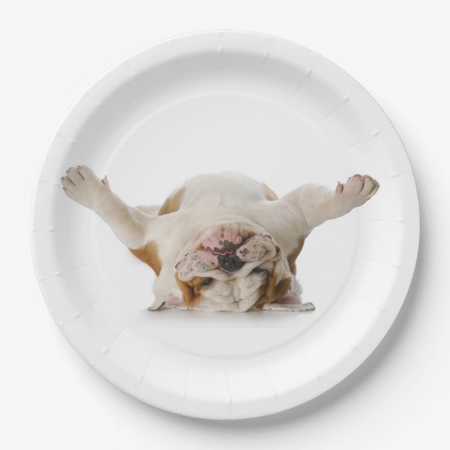 Plato De Papel Placas de papel de Bulldog boca abajo (Anverso)