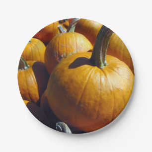 Plato De Papel Placas de papel de calabazas - 7 pulgadas