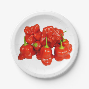 Plato De Papel Placas de papel de Chili Capsicum Chinense
