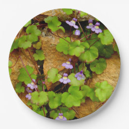 Plato De Papel Placas de papel de Cymbalaria Muralis