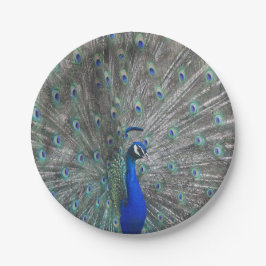 PLATO DE PAPEL PLACAS DE PAPEL DE FOTO DE PEACOCK