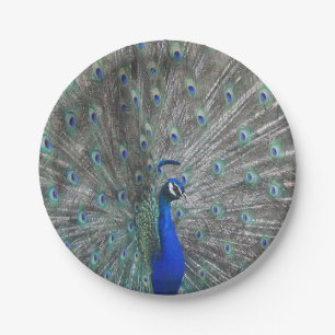 PLATO DE PAPEL PLACAS DE PAPEL DE FOTO DE PEACOCK