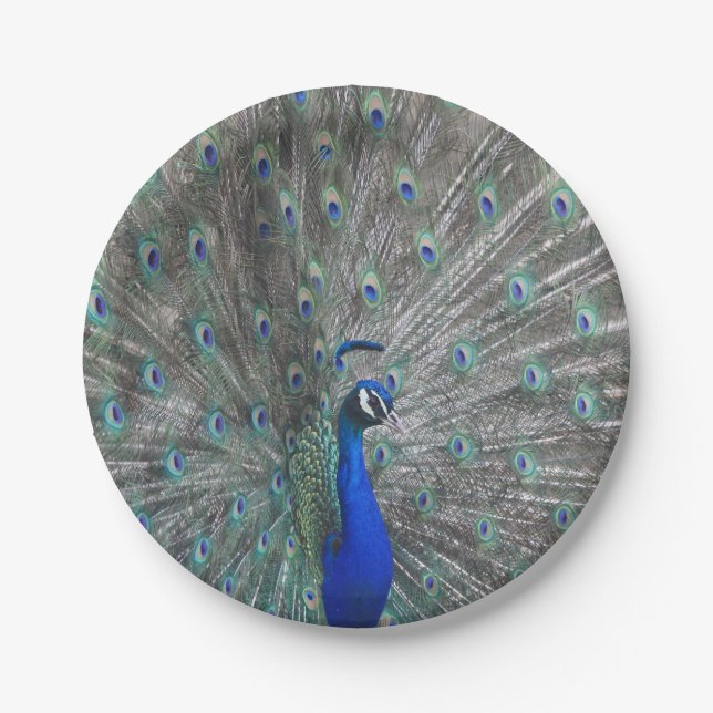 PLATO DE PAPEL PLACAS DE PAPEL DE FOTO DE PEACOCK (Anverso)