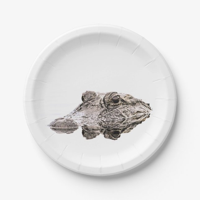 Plato De Papel Placas de papel de gálibo (Anverso)