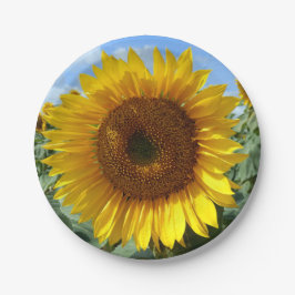 Plato De Papel Placas de papel de girasol