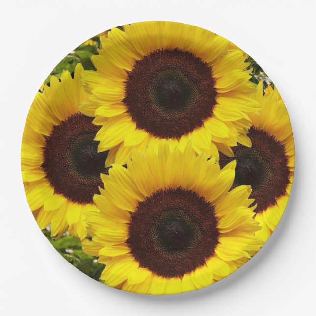 Plato De Papel Placas de papel de girasol (Anverso)