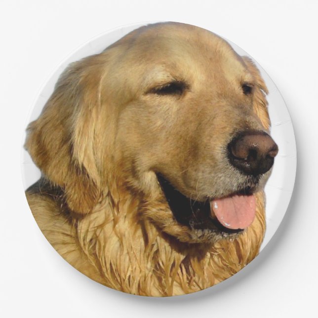 Plato De Papel Placas de papel de Golden Retriever (Anverso)