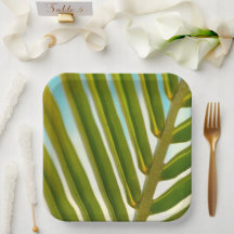 Placas de papel de hoja de coco