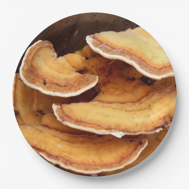 Plato De Papel Placas de papel de hongos Hirsutum Estéreo (Anverso)