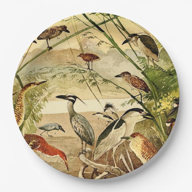 Plato De Papel Placas de papel de la fauna de los animales de los (Anverso)