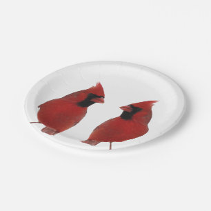 Plato De Papel Placas de papel de los cardenales