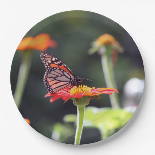 Plato De Papel Placas de papel de mariposa