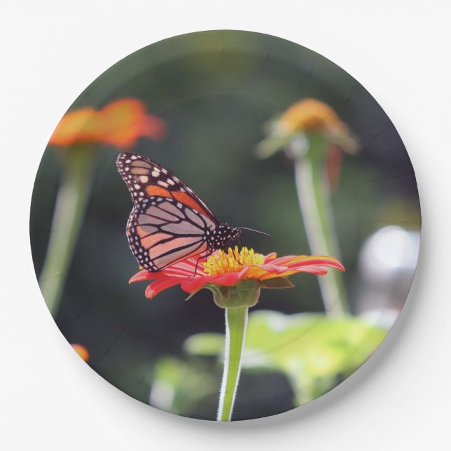 Plato De Papel Placas de papel de mariposa (Anverso)