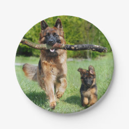 Plato De Papel Placas de papel de pastor alemanas