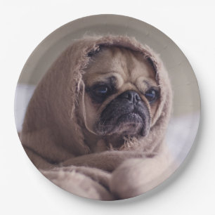 Plato De Papel Placas de papel de perro blanco 8