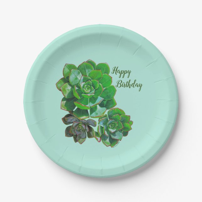 Plato De Papel Placas de papel de rosette suculentas (Anverso)