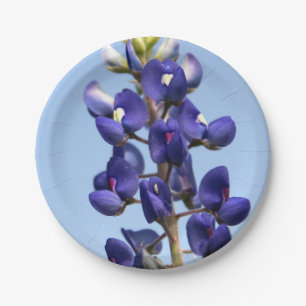 Plato De Papel Placas de papel del Bluebonnet de Tejas