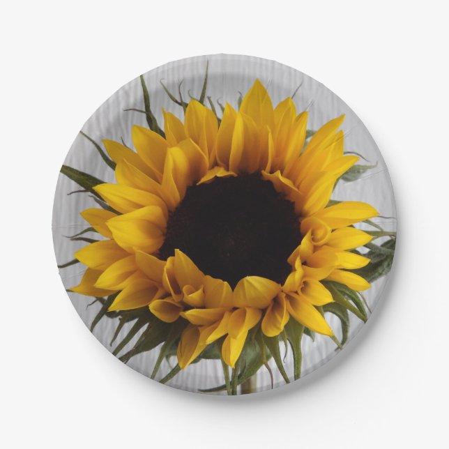 Plato De Papel Placas de papel del girasol (Anverso)