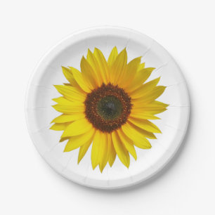 Plato De Papel Placas de papel del girasol