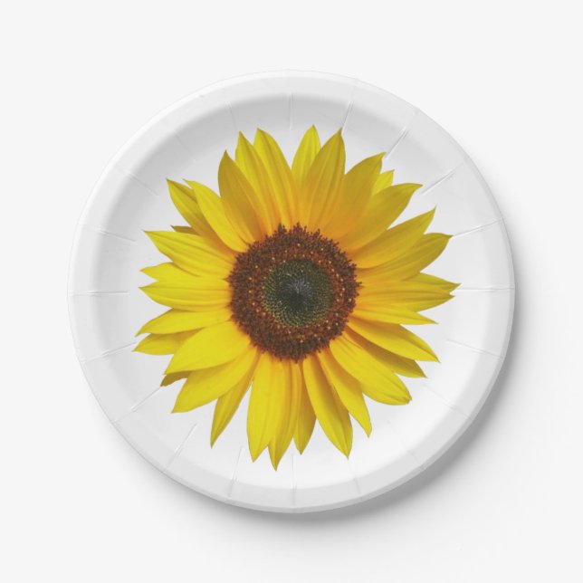 Plato De Papel Placas de papel del girasol (Anverso)
