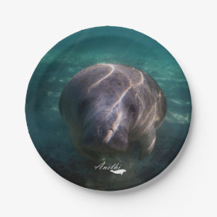 Plato De Papel Placas de papel del manatee lindo del bebé