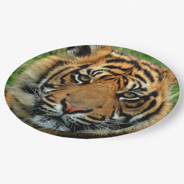 Plato De Papel Placas de papel del tigre (Angular)