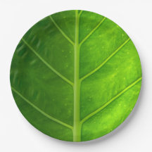 Placas de papel disponibles de la hoja tropical