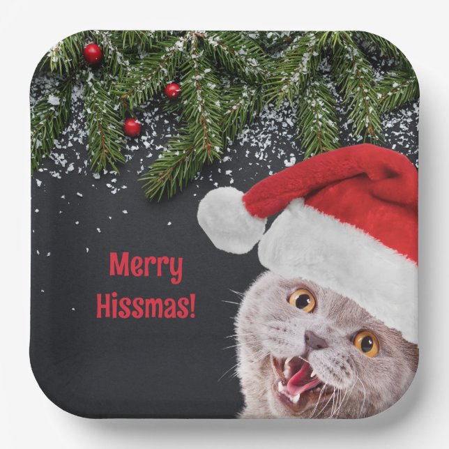 Plato De Papel Placas de papel, Feliz Hissmas (Anverso)