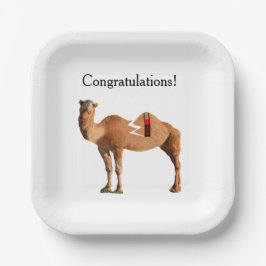 Plato De Papel Placas de papel Fiesta de divorcio