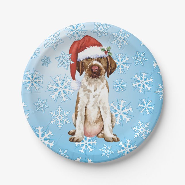 Plato De Papel Placas de papel GWP para navidades