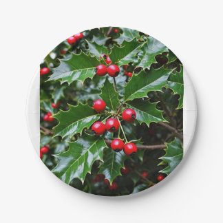 Plato De Papel Placas de papel hueco