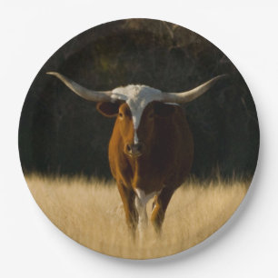 Plato De Papel Placas de papel Longhorn de Texas