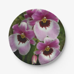 Plato De Papel Placas de papel - orquídea de pensamiento