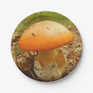 Plato De Papel Placas de papel para hongos de Amanita Caesarea