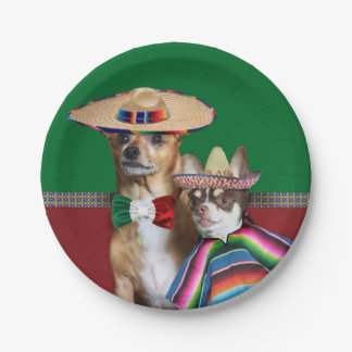 Plato De Papel Placas de papel para perros chihuahua mexicanos