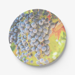 Plato De Papel Placas de papel para uvas de viña