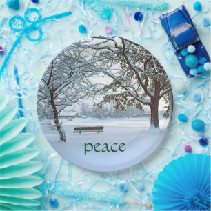 Plato De Papel placas de papel, PARQUE CUBIERTO DE NIEVE/BENEFICI