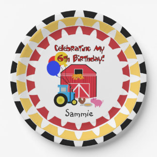 Plato De Papel Placas de papel personalizadas del 6to cumpleaños