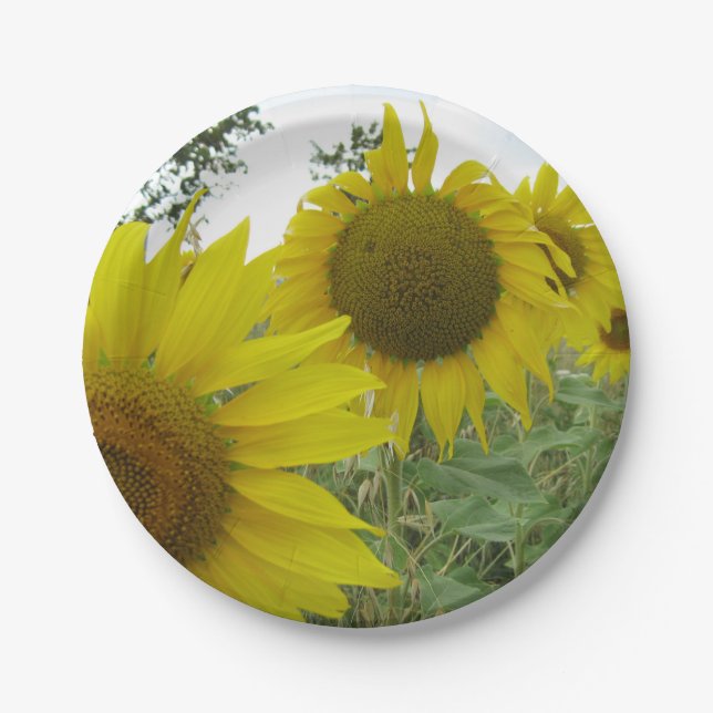 Plato De Papel Placas de papel Personalizado de girasoles amarill (Anverso)