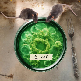 Plato De Papel Placas de papel Petri Dish, Placa de papel redonda