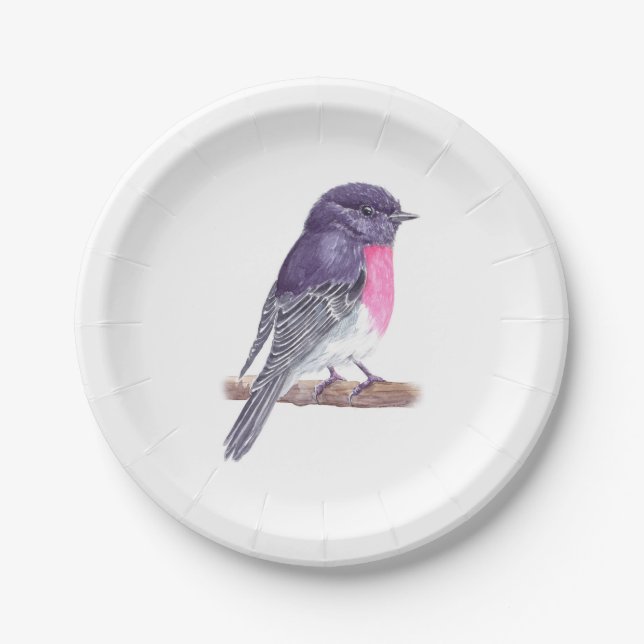Plato De Papel Placas de papel Robin (Anverso)