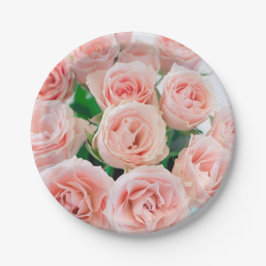 Plato De Papel Placas de papel rosa