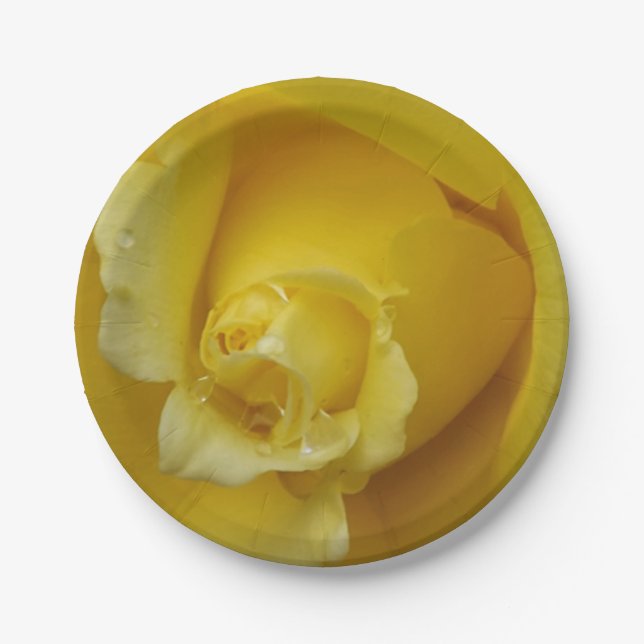 Plato De Papel Placas de papel rosa amarillo (Anverso)