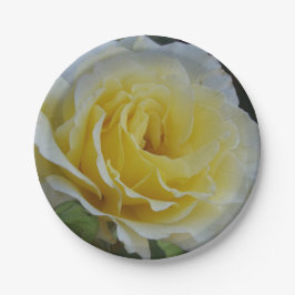 Plato De Papel Placas de papel rosa blanco