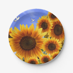 Plato De Papel Placas de papel Sombras