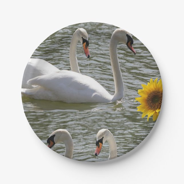 Plato De Papel Placas de papel Swans (Anverso)